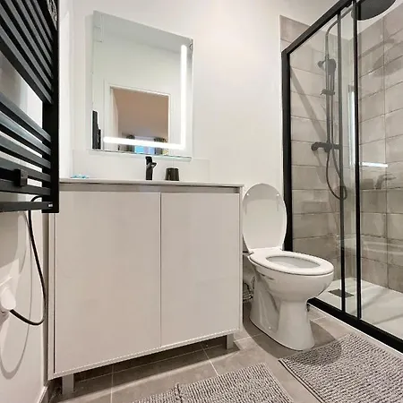 Le Botanique * Hypercentre * Netflix Apartment Toulouse